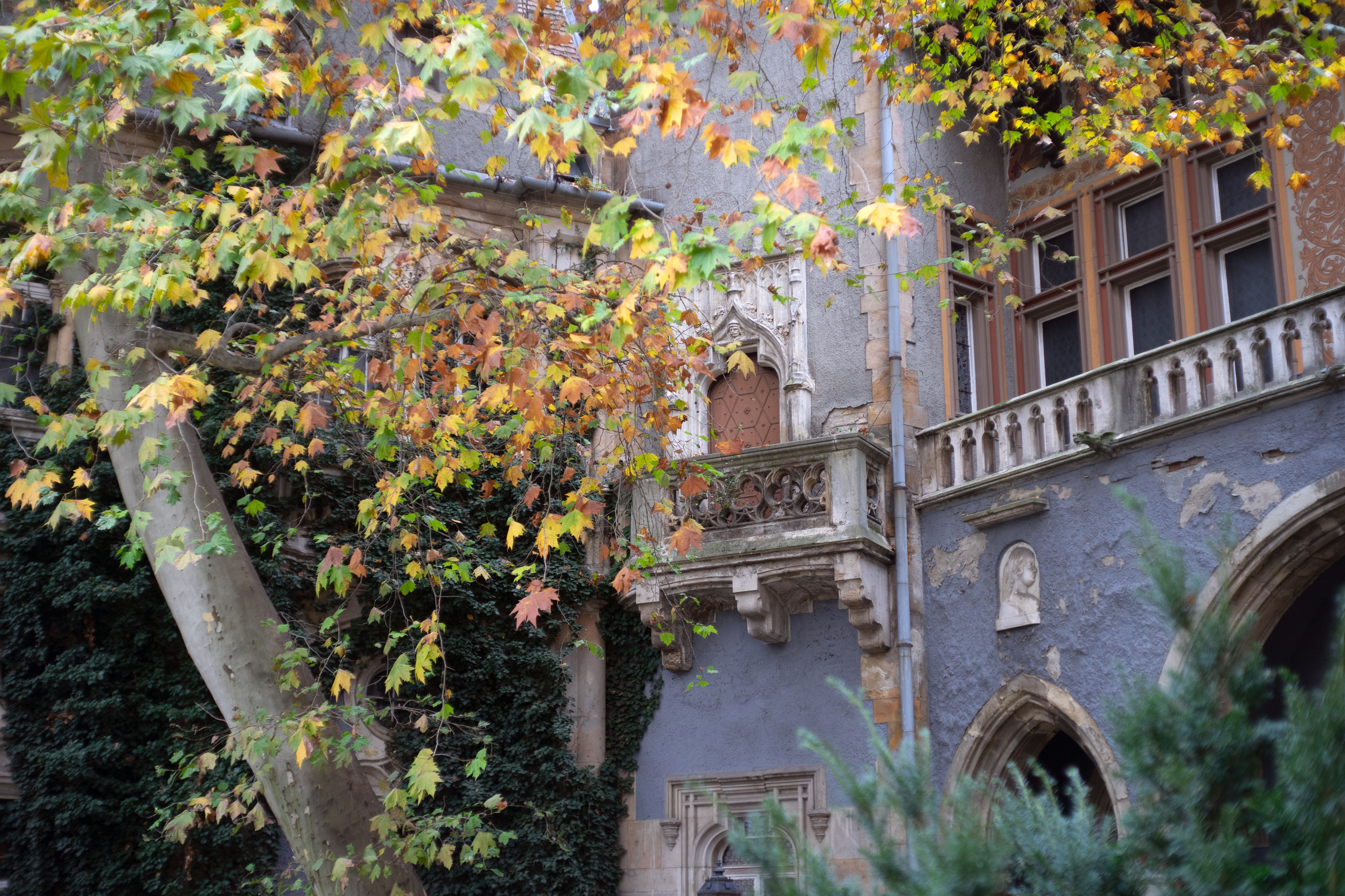 Daytime image of a balcony with a tree in Budapest, Hungary, Creative Commons