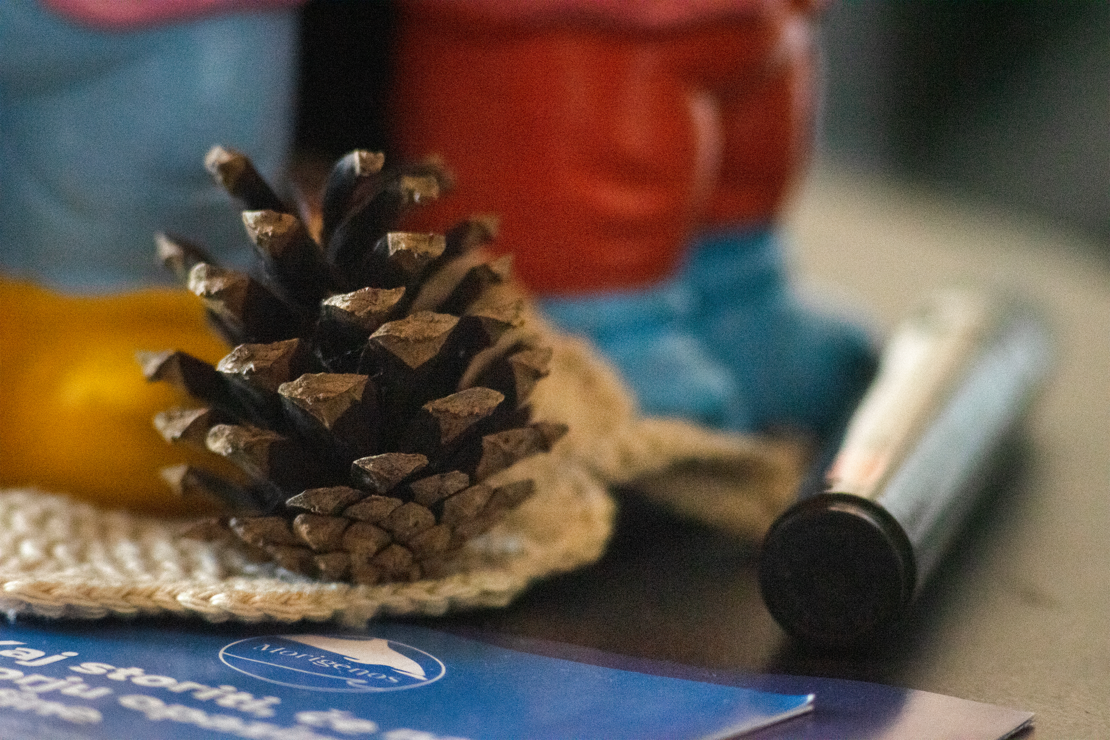 A closeup image of a flyer, garden gnomes and a pinecone. Creative Commons